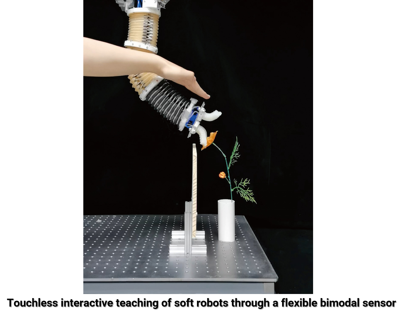micro-softrobot